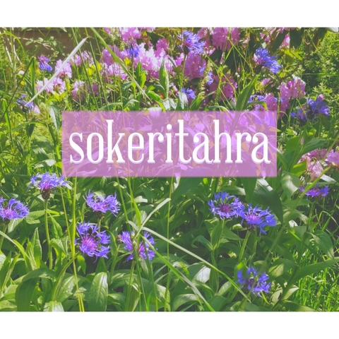 sokeritahra (Sokeritahra) free OnlyFans Leaks 

 picture 2
