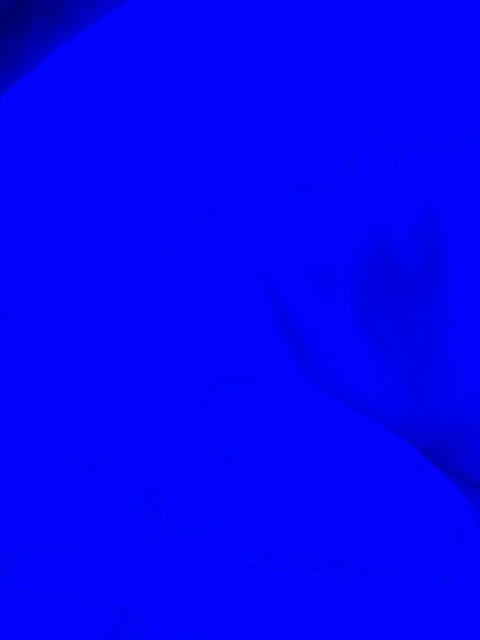 soniac00 OnlyFans Leak (2 Photos and 2 Videos) 

 picture 2