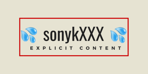 sonykxxx OnlyFans Leaked (0 Photos and 19 Videos) 

 picture 2