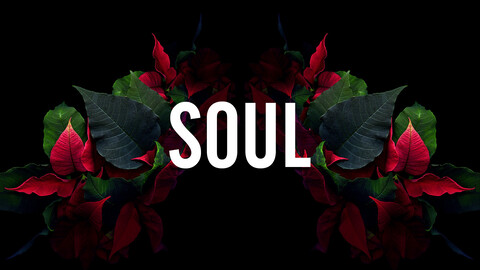 soulreaper09 leaked gallery photo 2