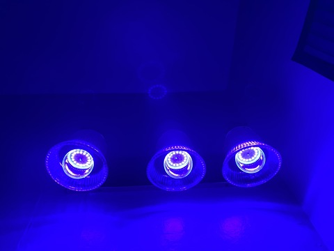 View Space (space) OnlyFans 0 Photos and 0 Videos leaks 

 picture 2