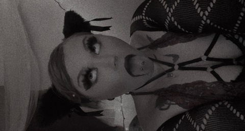 Download spiderqueennn OnlyFans videos and photos for free 

 picture 2