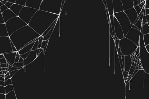 spidertitsbxtch OnlyFans Leak 

 picture 2
