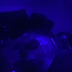 View splat_klues (76 Baby) OnlyFans 10 Photos and 0 Videos for free
picture 1