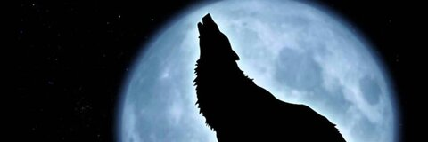 Free access to splizz08 (Wolf🐺) Leak OnlyFans 

 picture 2
