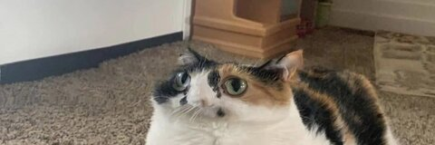 View spookibaby (spooki) OnlyFans 0 Photos and 0 Videos gallery 

 picture 2