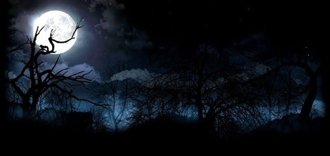 View moon (spookyboner69) OnlyFans 32 Photos and 30 Videos leaks 

 picture 2