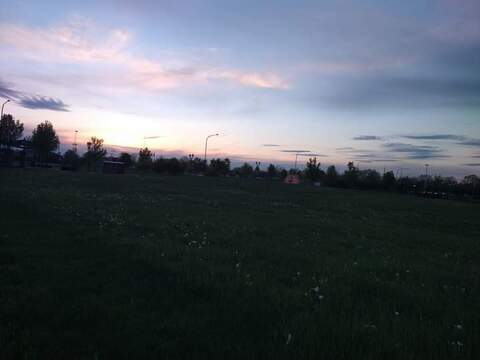 View Mia&lt;3 (spookyscaryfeels) OnlyFans 0 Photos and 0 Videos leaks 

 picture 2