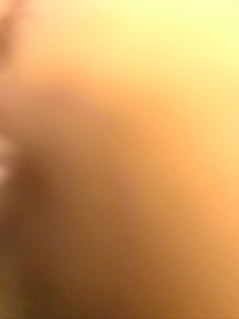 sssshhhhh12345 OnlyFans Leaked Photos and Videos 

 picture 2