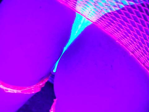 stacylynn204 OnlyFans Leaks (110 Photos and 40 Videos) 

 picture 2