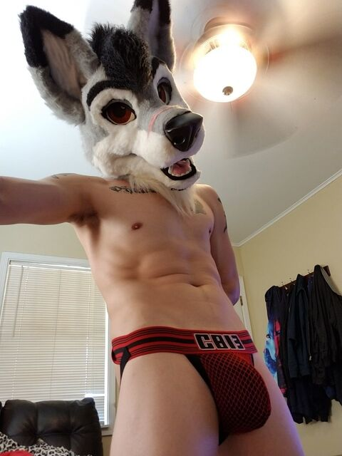 Free access to @stallionwolf Leaks OnlyFans 

 picture 2