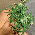 stickysweetness OnlyFans Leaks (0 Photos and 0 Videos) 

 picture 1