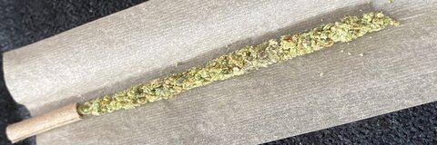 stonedgayvegan OnlyFans Leak (62 Photos and 32 Videos) 

 picture 2