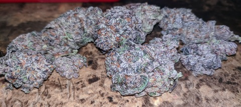 View stonedvelma (⛦ 𝘚ᴛ๏𝐧𝑒𝚍𝐕𝑒𝚕𝕞α) OnlyFans 20 Photos and 0 Videos gallery 

 picture 2