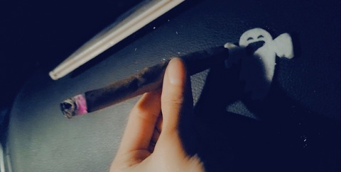 View stoner.babe13 (Charlii xox) OnlyFans 16 Photos and 0 Videos for free 

 picture 2