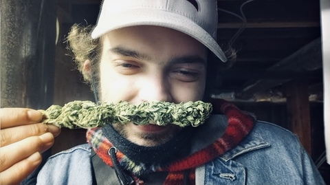 @stoner_bearcub1029 leaked Onlyfans videos and photos for free 

 picture 2