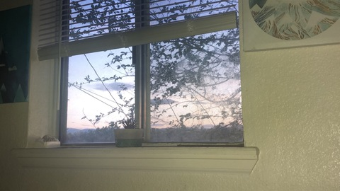 stonerdude97 leaked gallery photo 2
