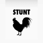 stunttcock (Stuntcock) OnlyFans content 

 picture 1