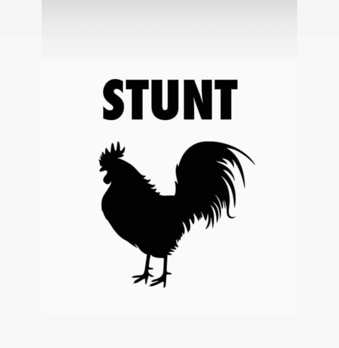 stunttcock (Stuntcock) OnlyFans content 

 picture 2