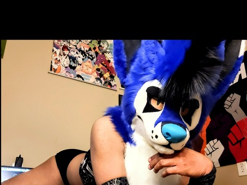 View SubbyFolf932 (subbyfolf932) OnlyFans 30 Photos and 10 Videos gallery 

 picture 2