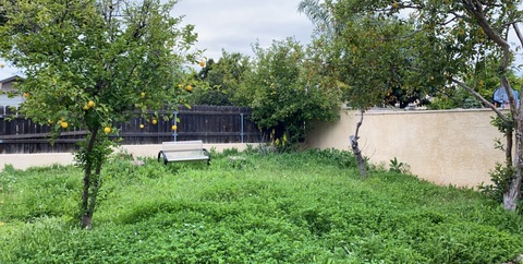 suburbanprncess leaked gallery photo 2