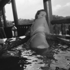 sugarbaby.cvm (baby) free OnlyFans content 

 picture 1