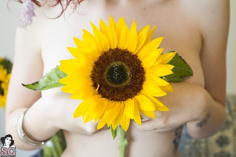 View Sunflower (sunflower.xx) OnlyFans 338 Photos and 22 Videos leaks 

 picture 2