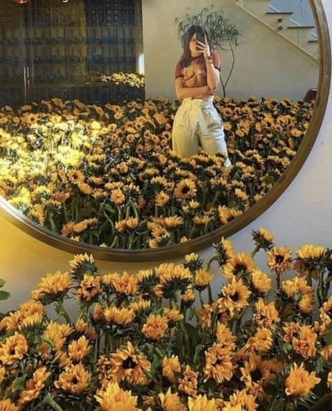 sunflowerchild34 (🌻 sunflower) free OnlyFans Leaks 

 picture 2