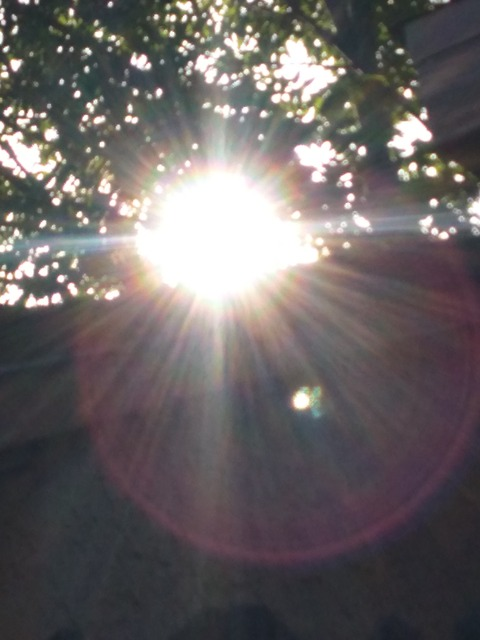 sunshineofyourlight OnlyFans Leak (62 Photos and 6 Videos) 

 picture 2