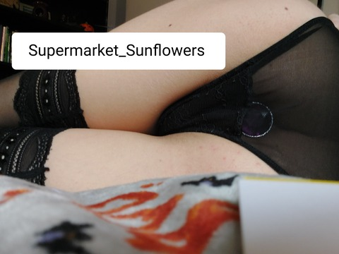 supermarket_sunflowers OnlyFans Leaks (481 Photos and 17 Videos) 

 picture 2