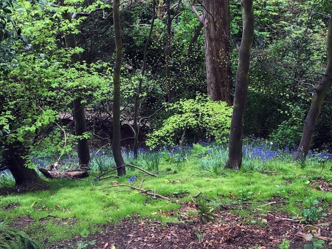 swamp.slut OnlyFans Leaks 

 picture 2