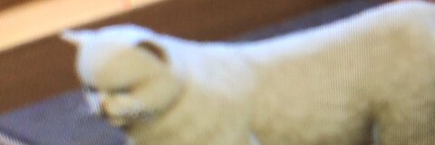 Free access to sweet77 (generous fools gold) Leak OnlyFans 

 picture 2