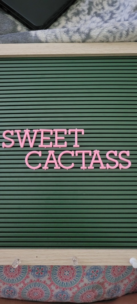 sweetcactass OnlyFans Leak (559 Photos and 366 Videos) 

 picture 2