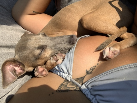 @talia_88 leaked Onlyfans content free 

 picture 2