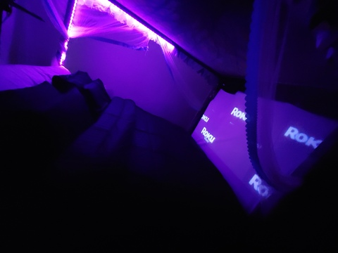 tf_yhu_want OnlyFans Leaks 

 picture 2