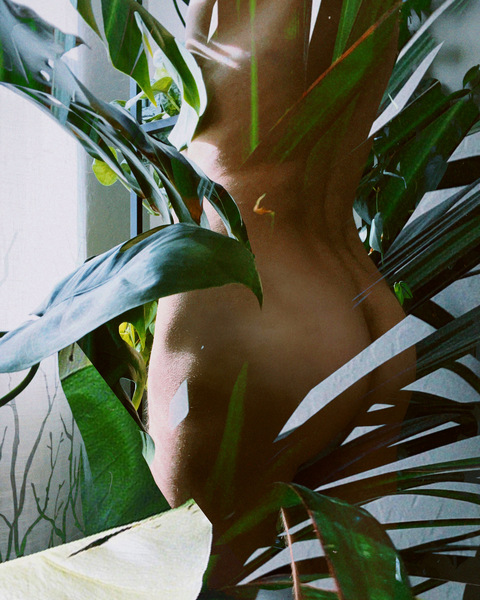 Onlyfans free content thebarebotanist 

 picture 2