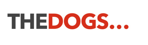Download thedogsbolloxxl OnlyFans content free 

 picture 2