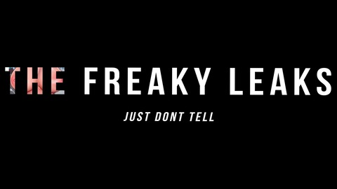 thefreakyleaks (Freaky Leaks) free OnlyFans Leaked Videos and Pictures 

 picture 2