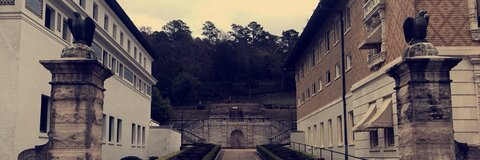 theninjaace711 leaked gallery photo 2
