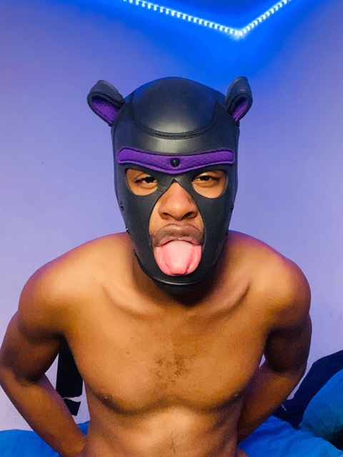 Onlyfans free content thephvroahhound 

 picture 2