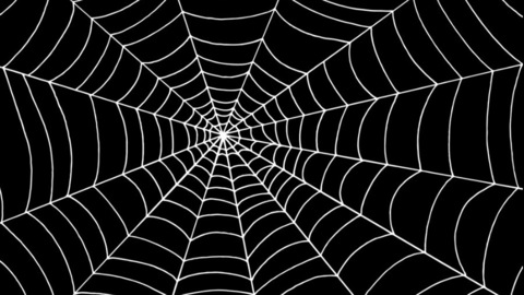 Onlyfans free thespiderm1lf 

 picture 2