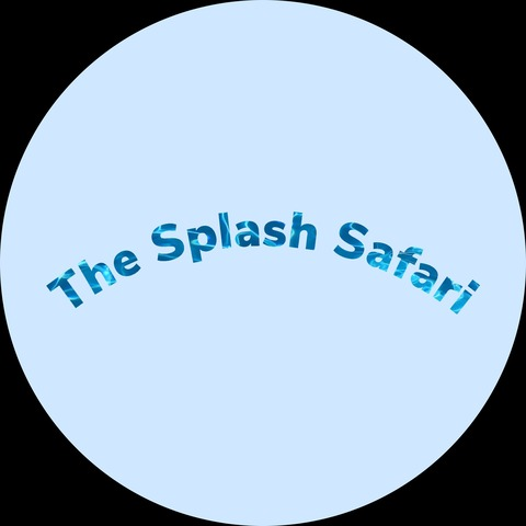 Download thesplashsafari OnlyFans content for free 

 picture 2