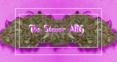 View thestoner_abg OnlyFans content for free 

 picture 2