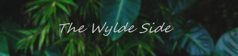 thewyldeside (The Wylde Side) free OnlyFans Leaked Pictures and Videos 

 picture 2