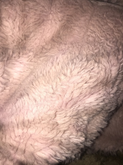 View ThiccWhiteGurl (thiccwhitegurl) OnlyFans 0 Photos and 0 Videos leaks 

 picture 2