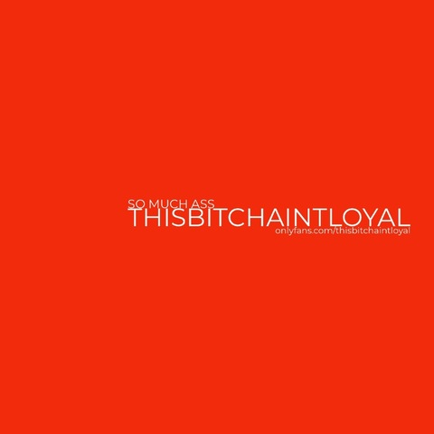 thisbitchaintloyal OnlyFans Leaks (374 Photos and 30 Videos) 

 picture 2