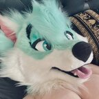 Download thylasaur OnlyFans videos and photos free 

 picture 1