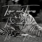 tigerandtigress (TigerandTigress) OnlyFans Leaked Content
picture 1