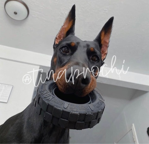 tinaprochi OnlyFans Leaked 

 picture 2