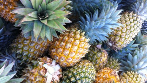 Onlyfans free content tiny_pineapples 

 picture 2